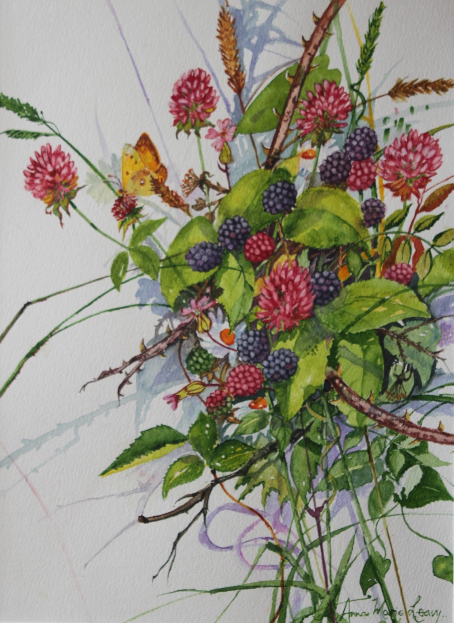 Blackberries in the Hedgerow, Watercolour by Anna Marie Leavy Blackberries in the Hedgerow, Watercolour by Anna Marie Leavy