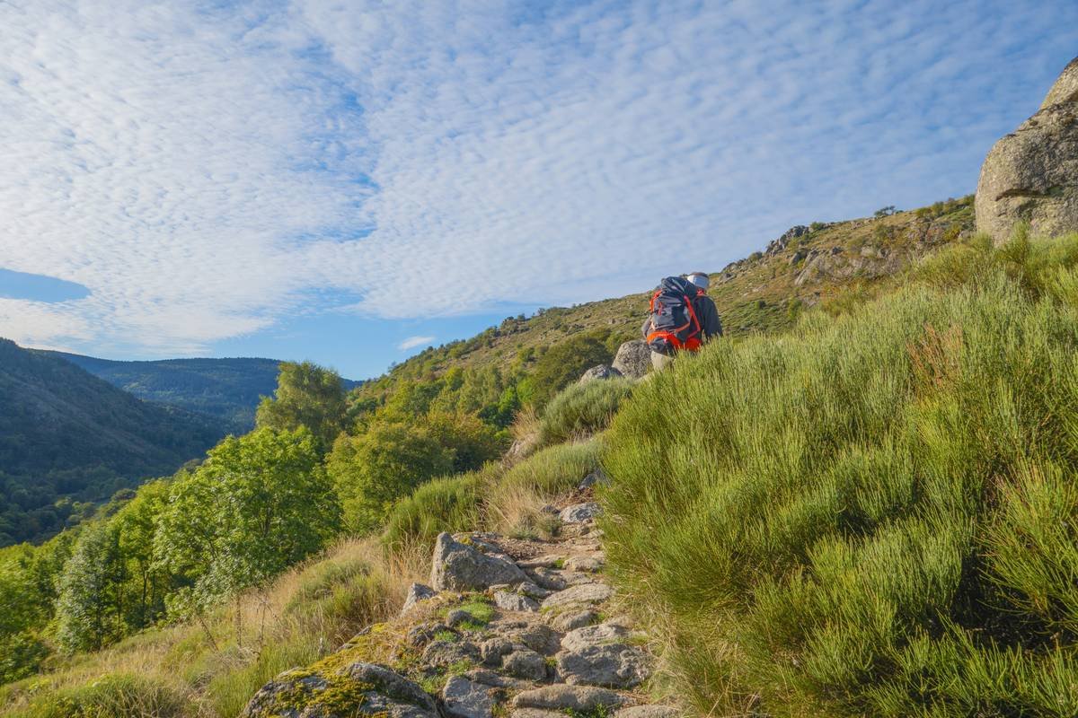 Infographic showing how Flex Fit climbing tights support hip mobility, reduce chafing, and enhance blood flow during vertical movement