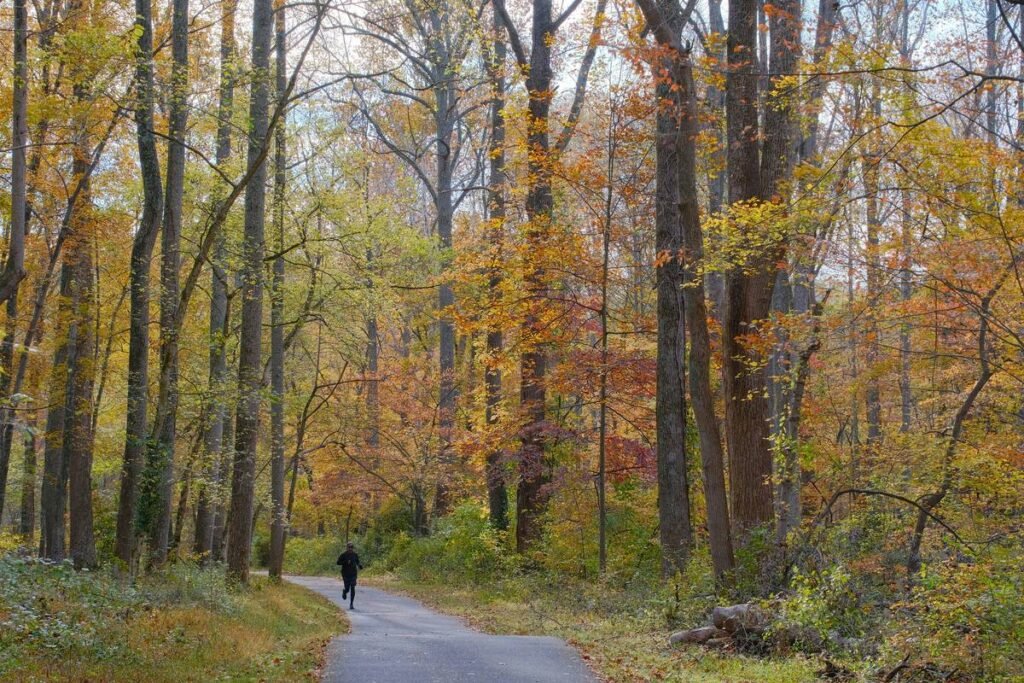 Move Freely: Why Your Climbing Tights Should Feel Like a Second Skin (Not a Sausage Casing)