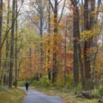 Move Freely: Why Your Climbing Tights Should Feel Like a Second Skin (Not a Sausage Casing)