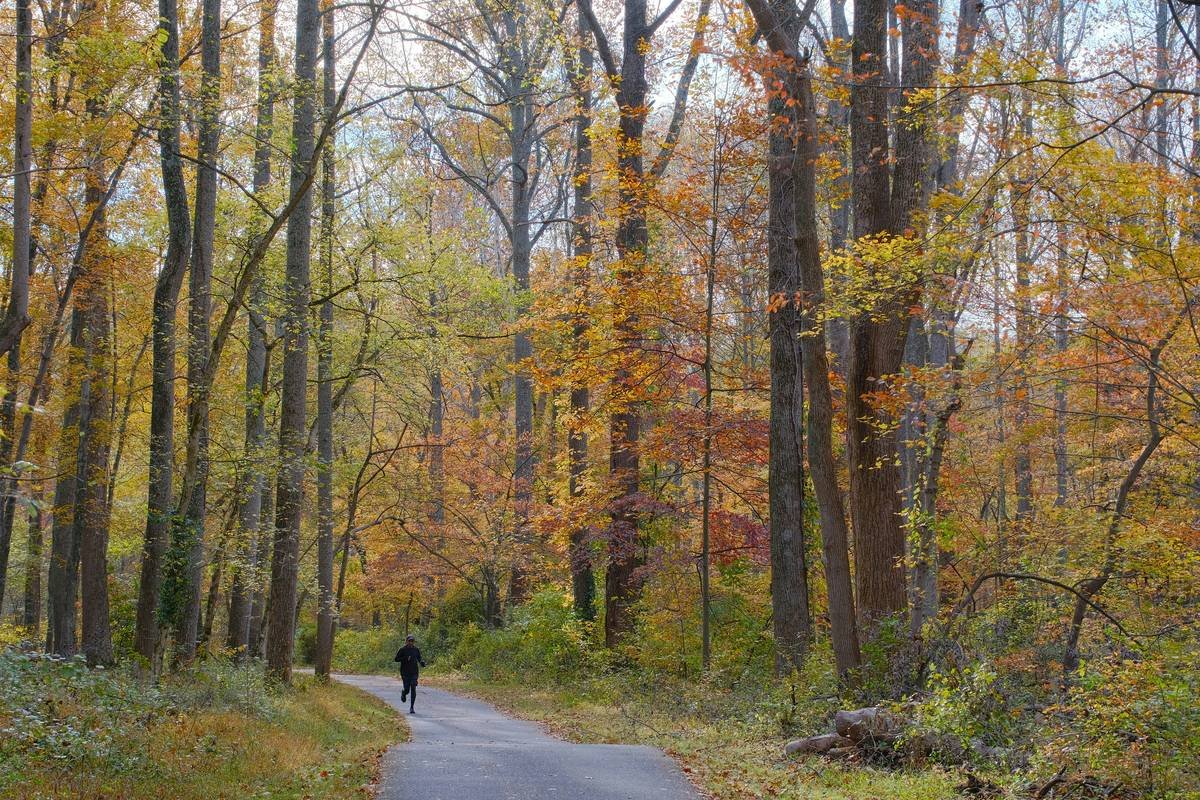 Move Freely: Why Your Climbing Tights Should Feel Like a Second Skin (Not a Sausage Casing)